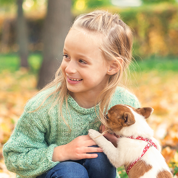 A guide to the most popular dog breeds